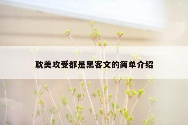 耽美攻受都是黑客文的简单介绍
