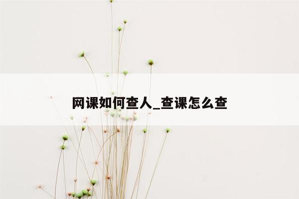 网课如何查人_查课怎么查