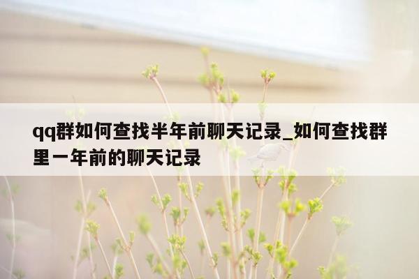 qq群如何查找半年前聊天记录_如何查找群里一年前的聊天记录