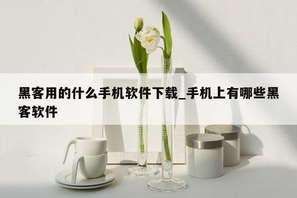 黑客用的什么手机软件下载_手机上有哪些黑客软件