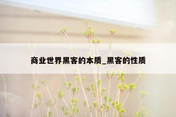 商业世界黑客的本质_黑客的性质