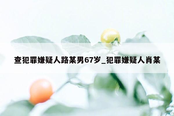 查犯罪嫌疑人路某男67岁_犯罪嫌疑人肖某