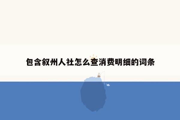 包含叙州人社怎么查消费明细的词条