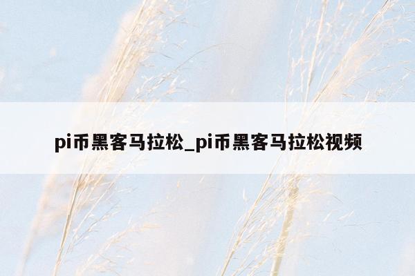 pi币黑客马拉松_pi币黑客马拉松视频