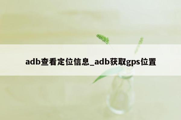 adb查看定位信息_adb获取gps位置