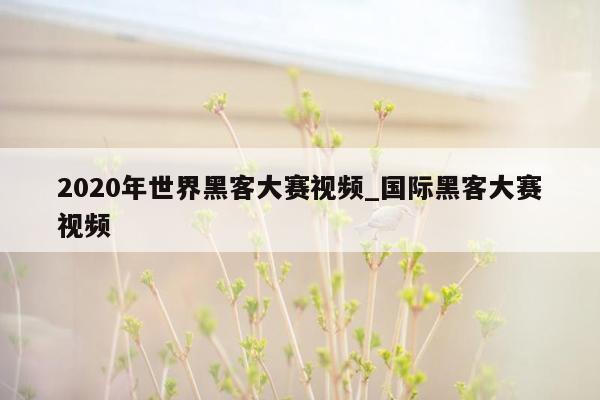 2020年世界黑客大赛视频_国际黑客大赛视频