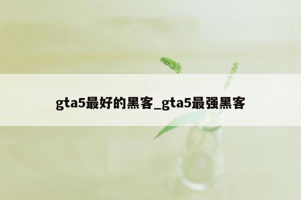 gta5最好的黑客_gta5最强黑客