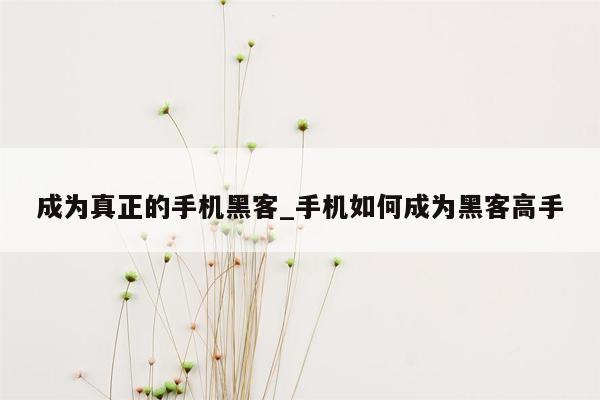 成为真正的手机黑客_手机如何成为黑客高手