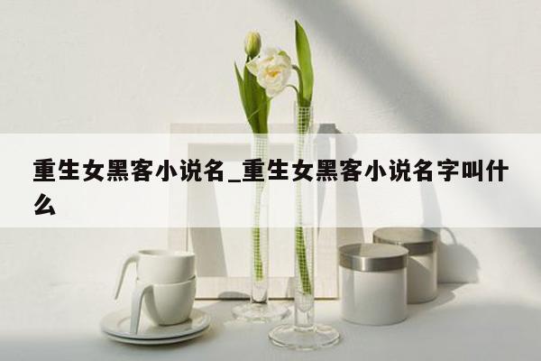 重生女黑客小说名_重生女黑客小说名字叫什么