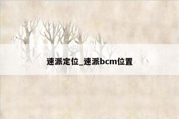 速派定位_速派bcm位置