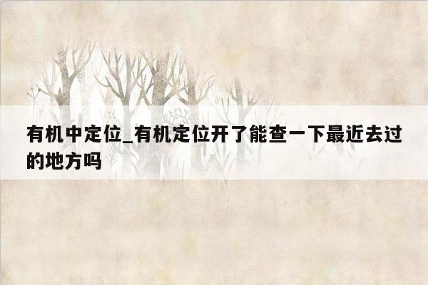 有机中定位_有机定位开了能查一下最近去过的地方吗