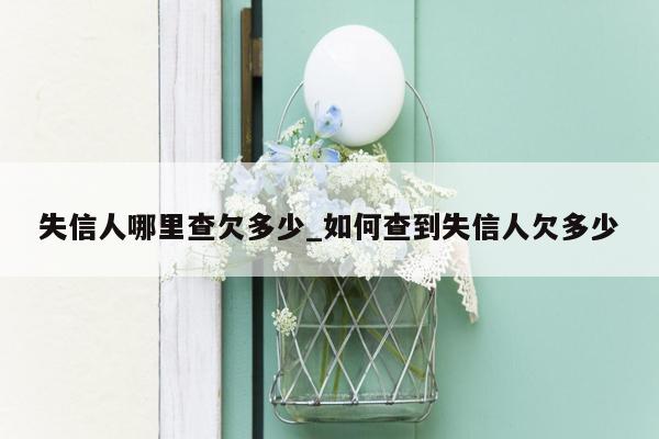 失信人哪里查欠多少_如何查到失信人欠多少