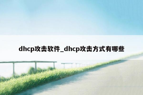 dhcp攻击软件_dhcp攻击方式有哪些