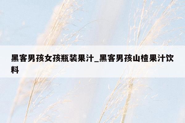 黑客男孩女孩瓶装果汁_黑客男孩山楂果汁饮料