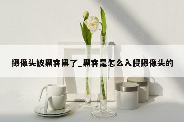 摄像头被黑客黑了_黑客是怎么入侵摄像头的