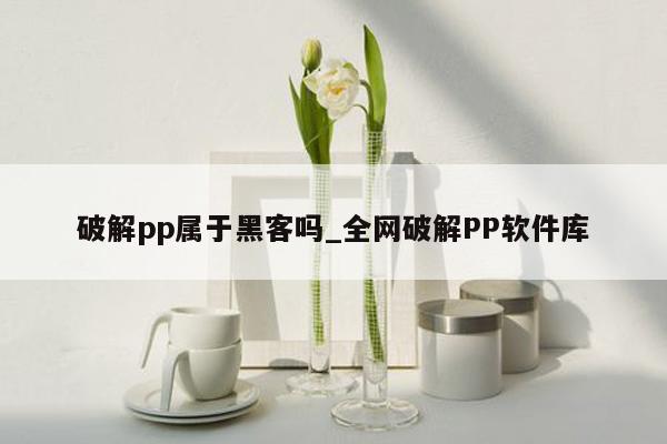 破解pp属于黑客吗_全网破解PP软件库