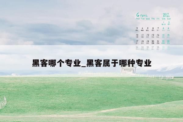 黑客哪个专业_黑客属于哪种专业