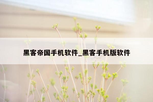 黑客帝国手机软件_黑客手机版软件