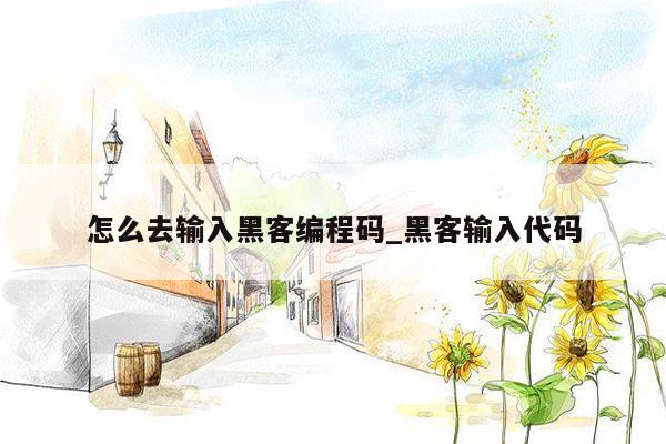 怎么去输入黑客编程码_黑客输入代码
