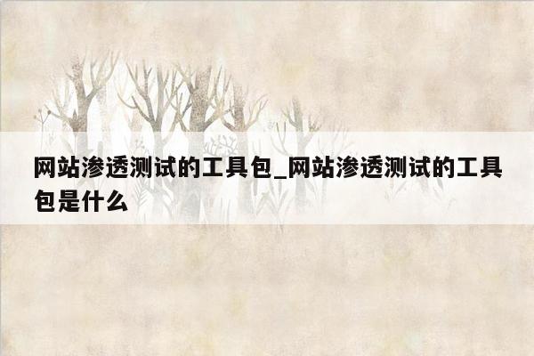 网站渗透测试的工具包_网站渗透测试的工具包是什么