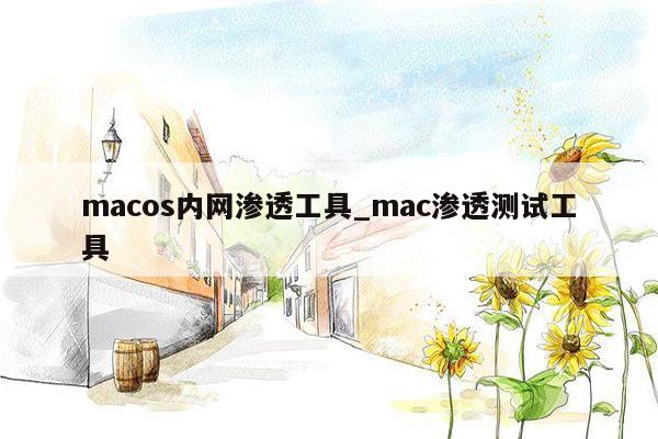 macos内网渗透工具_mac渗透测试工具
