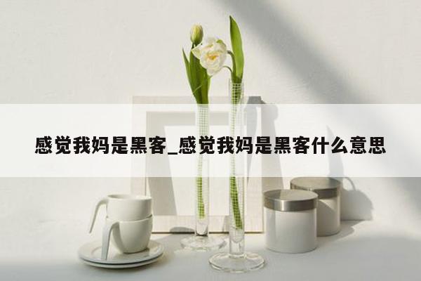 感觉我妈是黑客_感觉我妈是黑客什么意思