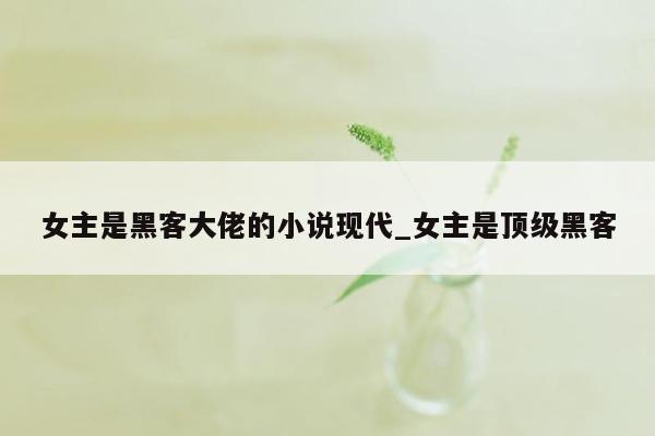 女主是黑客大佬的小说现代_女主是顶级黑客