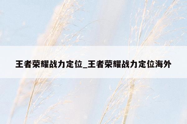 王者荣耀战力定位_王者荣耀战力定位海外