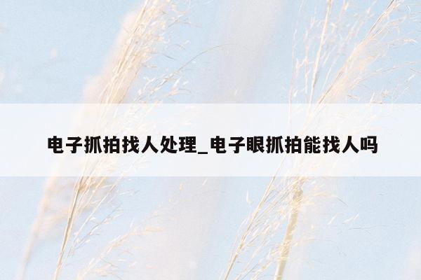电子抓拍找人处理_电子眼抓拍能找人吗