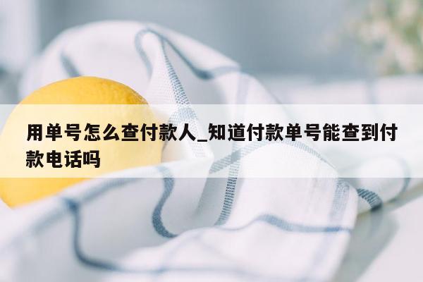 用单号怎么查付款人_知道付款单号能查到付款电话吗