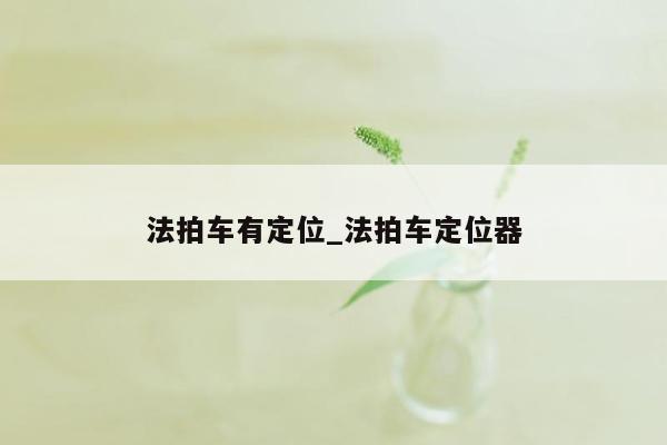 法拍车有定位_法拍车定位器