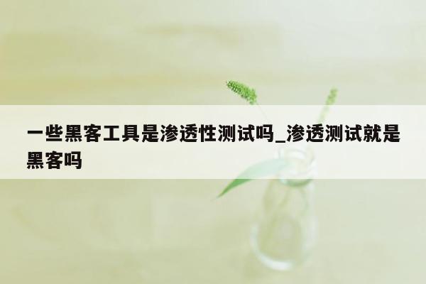 一些黑客工具是渗透性测试吗_渗透测试就是黑客吗