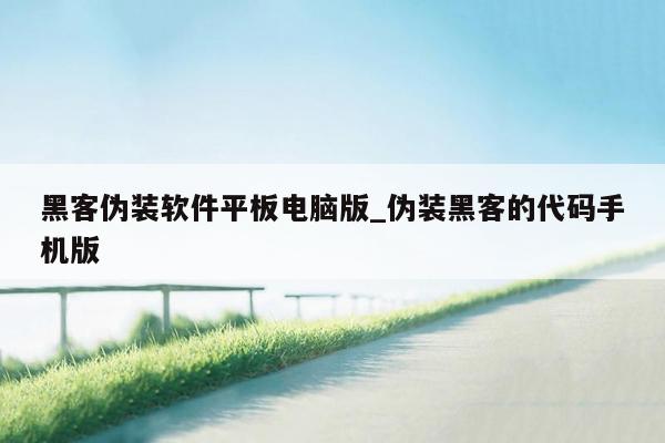 黑客伪装软件平板电脑版_伪装黑客的代码手机版
