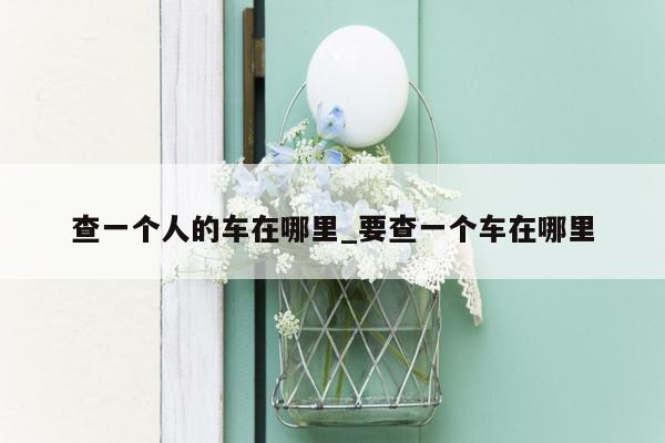 查一个人的车在哪里_要查一个车在哪里