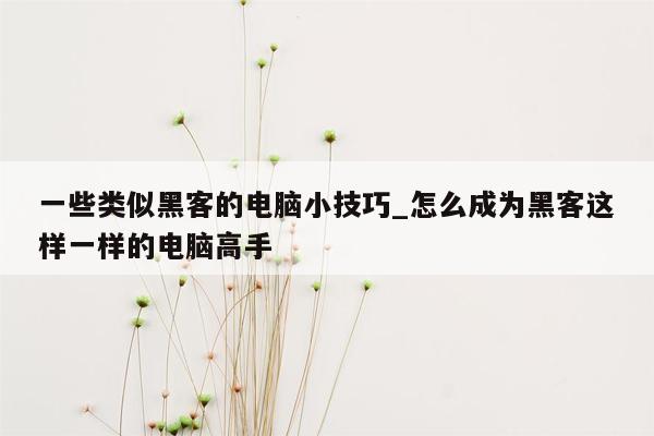 一些类似黑客的电脑小技巧_怎么成为黑客这样一样的电脑高手