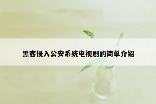 黑客侵入公安系统电视剧的简单介绍