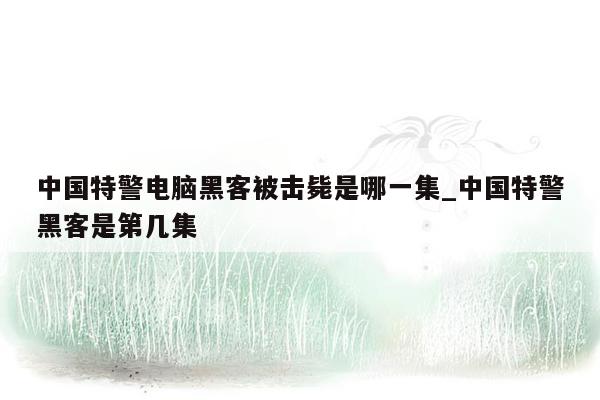 中国特警电脑黑客被击毙是哪一集_中国特警黑客是第几集