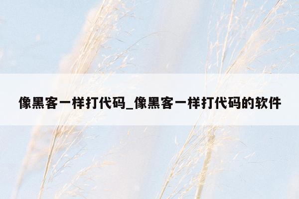 像黑客一样打代码_像黑客一样打代码的软件