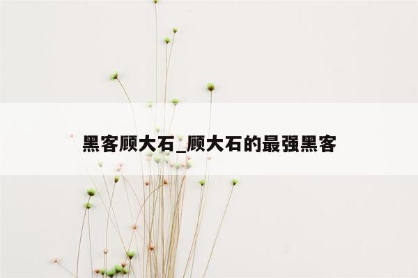 黑客顾大石_顾大石的最强黑客