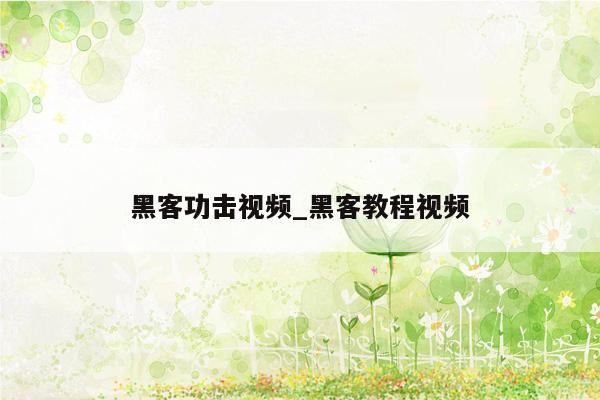 黑客功击视频_黑客教程视频