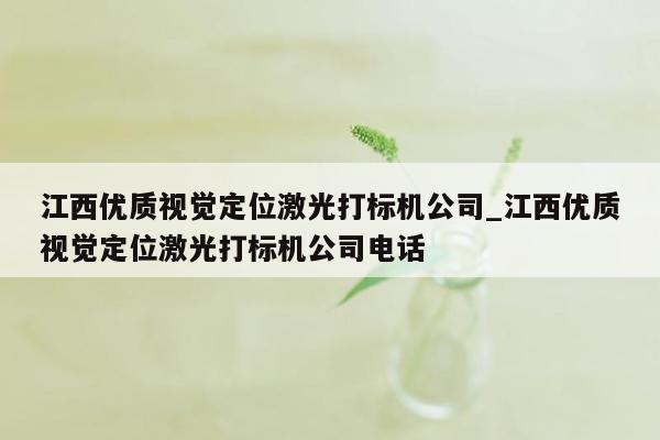 江西优质视觉定位激光打标机公司_江西优质视觉定位激光打标机公司电话