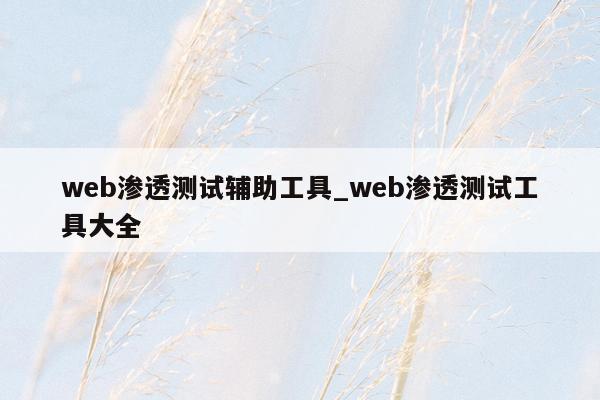 web渗透测试辅助工具_web渗透测试工具大全