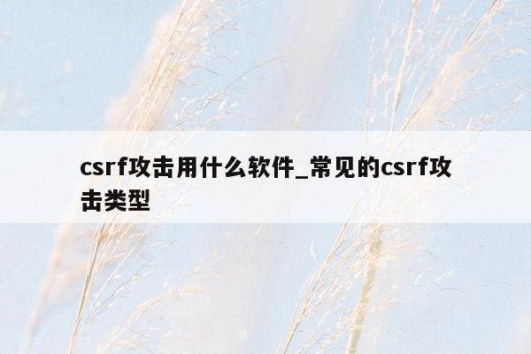 csrf攻击用什么软件_常见的csrf攻击类型