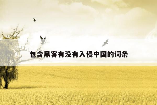 包含黑客有没有入侵中国的词条