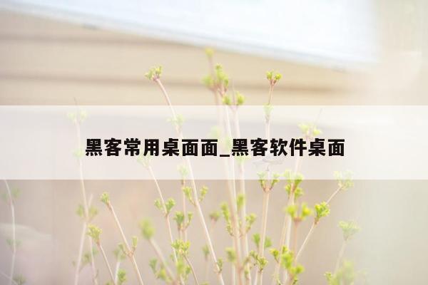 黑客常用桌面面_黑客软件桌面