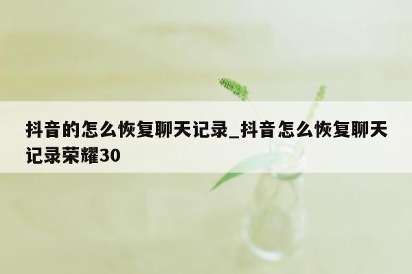 抖音的怎么恢复聊天记录_抖音怎么恢复聊天记录荣耀30