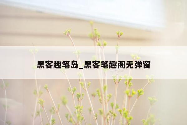 黑客趣笔岛_黑客笔趣阁无弹窗