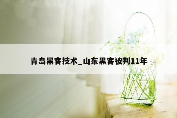 青岛黑客技术_山东黑客被判11年