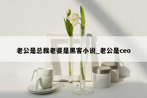 老公是总裁老婆是黑客小说_老公是ceo