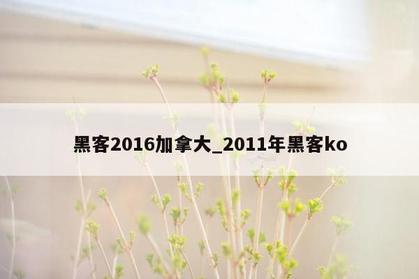 黑客2016加拿大_2011年黑客ko